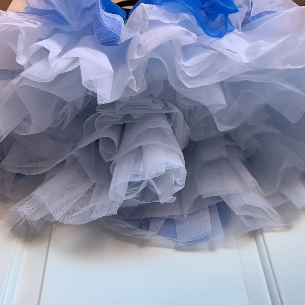 Gorgeous DANCE COSTUME Blue White Child's Ballet Tutu Pretty Flowers
